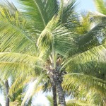 image00139