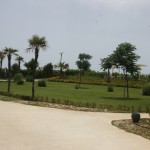 turkiet2013-032